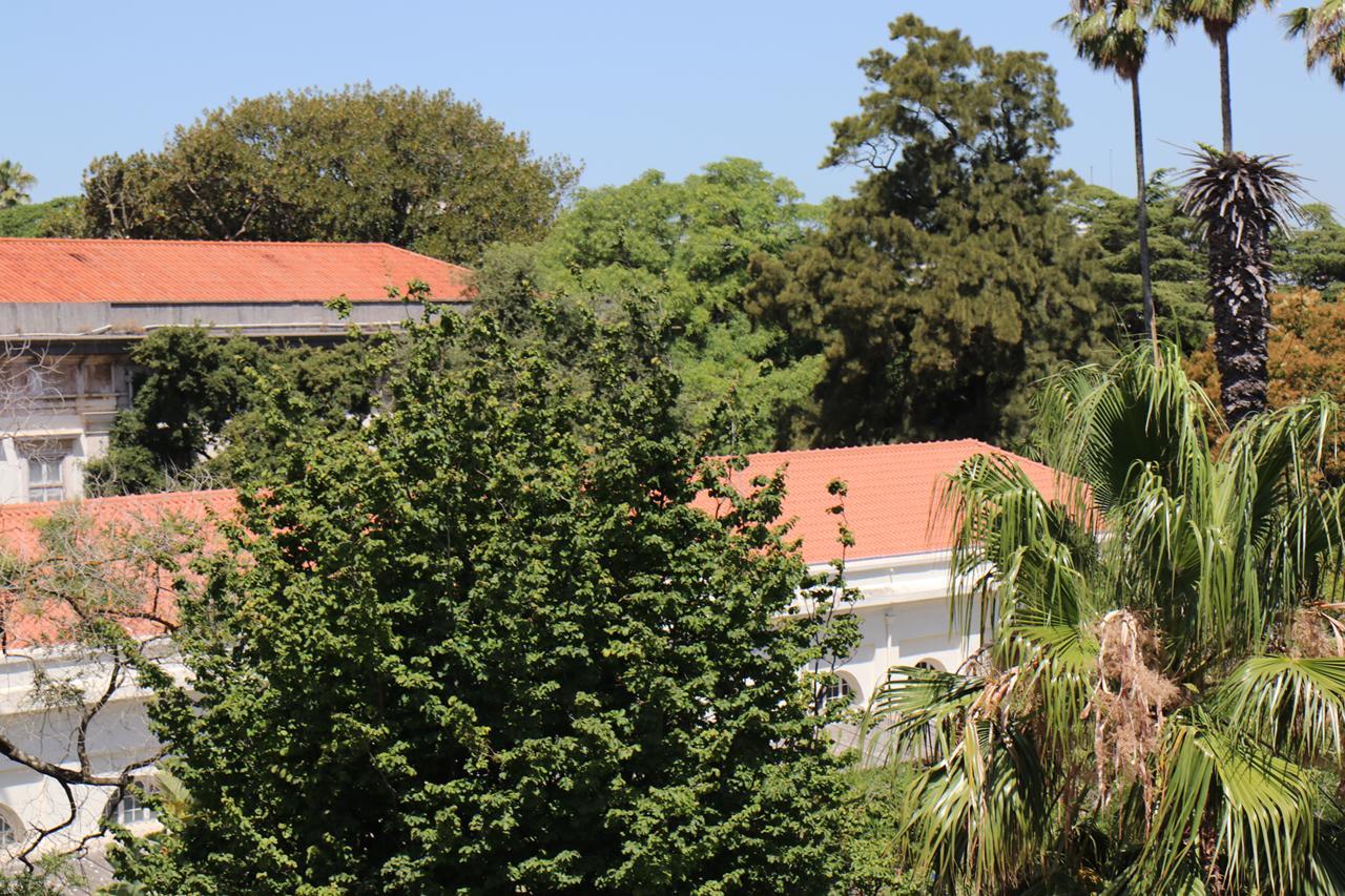 Botanic Views Guest House Lisabona Exterior foto